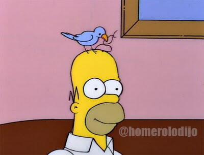 HomeroLodijo's tweet photo. -Homero, tienes un pájaro en la cabeza. -Ya lo sé, me esta acicalando. https://t.co/8i1PjCqqor