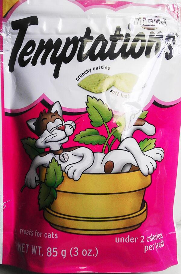 TheWastedLie's tweet photo. Today Los Angeles voters will decide on the controversial medicinal marijuana bill for pets. http://t.co/lgBYPdmzKJ