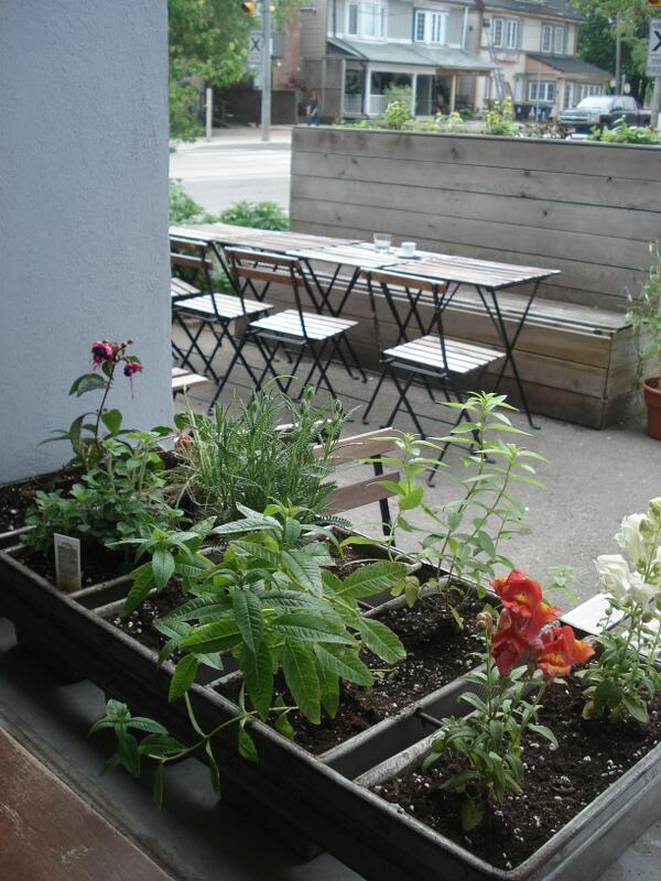 VoulezVousCafe's tweet photo. Ginger mint, red rubin basil and Caribbean red habanero are in the house! http://t.co/ufZhOfsELj