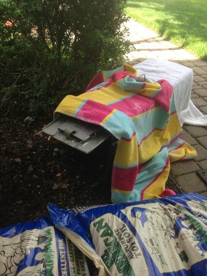 The trap is set!  Skunk hunt 2013 continues. #trapperjohnmd