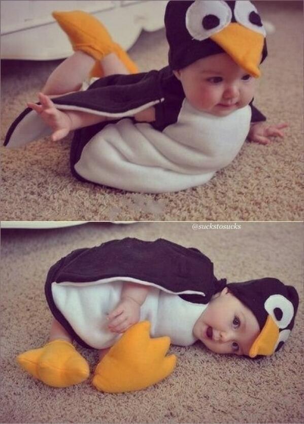 If you're in a bad mood, here's a baby penguin