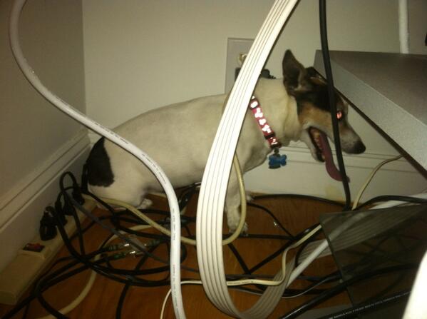 DonnaMiller44's tweet image. Hiding behind TV #scaredofthunder