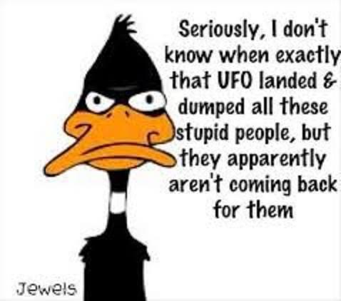 ljcole2u's tweet image. Yes Daffy and we know where they got dumped. They don't know anything and can't remember anything!  #basicallyuseless