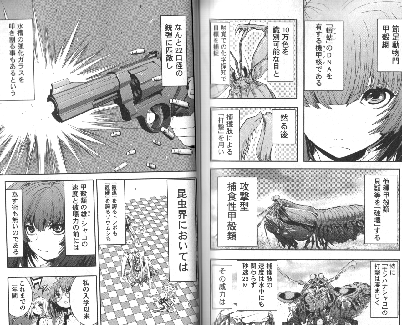 ワダツミ Rt テラフォーマーズやアラクニドが 素体となった生物 の能力を人間サイズで扱うと超強い なのに対し 人間サイズ同士で戦うけど 素体となった生物の体格差はそのまま反映されるんで 基本的に昆虫は最弱 という設定の漫画 Http T Co