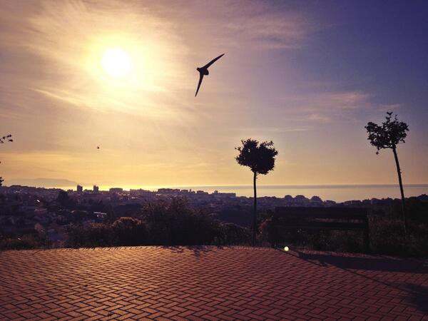 thelevron's tweet photo. Así si merece la pena madrugar!!! #estoesvida http://t.co/JBieYLhlPm