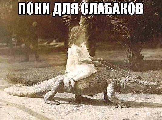 HCFMoscow's tweet image. Вот так сегодня. #FunCandy