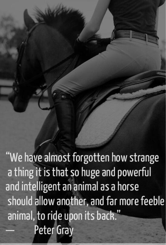 TiaraAndBoots's tweet image. Love 🙌❤