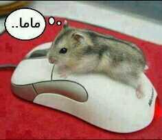 ههههههههههههههه