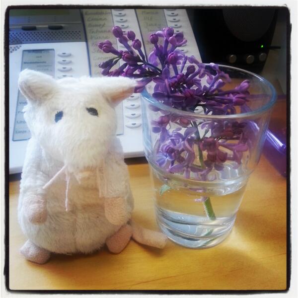FrkThell's tweet photo. Det doftar gott på kontoret idag :-) http://t.co/ivfydPx2ED