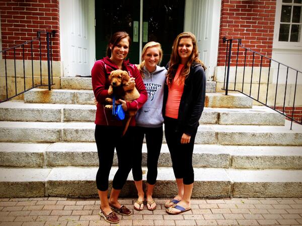 NHSYoungAlumni's tweet photo. @the_menksta @JackieMazur &amp; Erin Moran Class '12 stopped by (with Madison the puppy)--come back and say hi! http://t.co/NSZF1rpIVU
