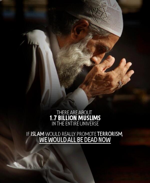 Paul Thomas 🇵🇸 🇬🇱 tweet media