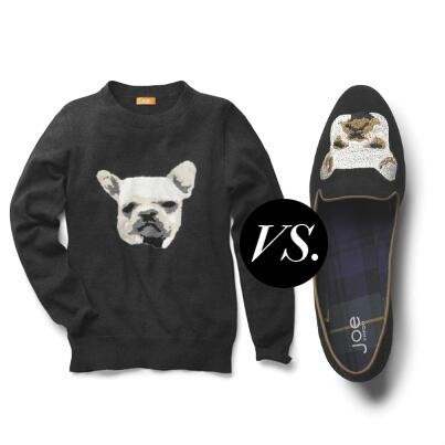 best shoes for french bulldog