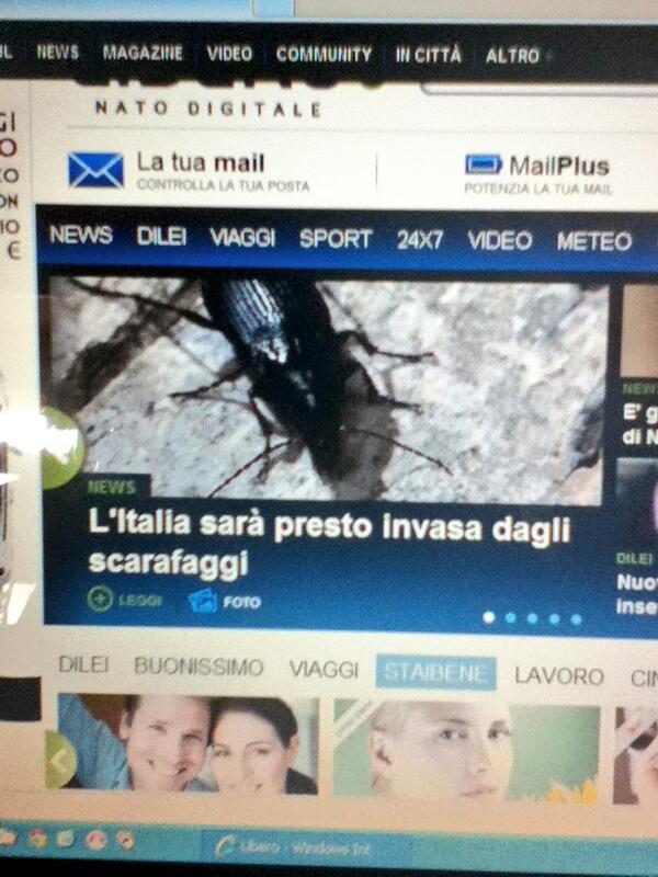 mikyiossa's tweet photo. Presto l'Italia sarà invasa dagli... SCARAFAGGI!!!!! :-( http://t.co/xQGjn9xBFd