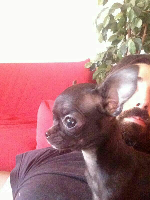 NktSan's tweet photo. Porfin estas aqui!!! http://t.co/HfLZAFmC38