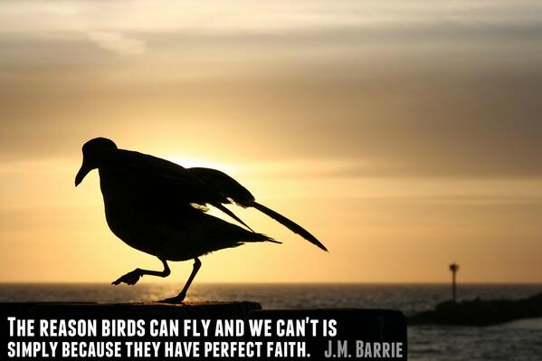 PenguinClassics's tweet photo. "The reason birds can fly and we can't is simply because they have perfect faith."
- JM Barrie http://t.co/SnQD3cZgVc http://t.co/G9Gr2w7zBn