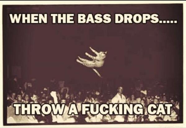 WHEN THE BASS DROPS..... THROW A FUCKING CAT!
