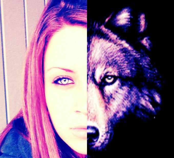 I love wolves<3 http://t.co/vletoUhvsw