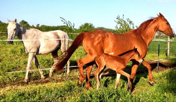 FLepron's tweet photo. Petit matin tranquille ! http://t.co/NdN2ORcRP9