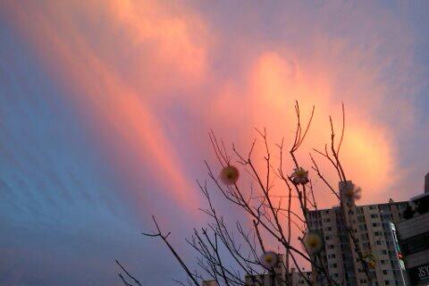 limpol82's tweet photo. 갑자기무서워질때가있다.불안한생각이엄습하고왠지그렇게될것같은기분이들면무서워진다.애써외면하지만그기분은잊혀지지않는다. http://t.co/v9QcZnmq7K