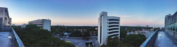 Alex Gort tweet media