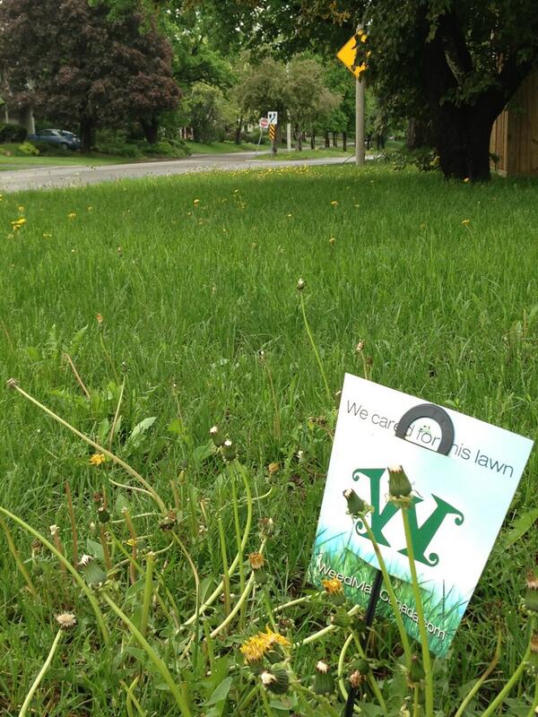 Rachelle Aldrich tweet media