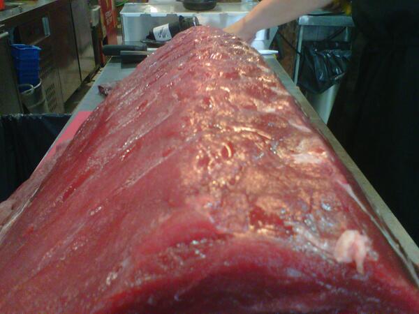 Hoy ya nos llegó nuestro atún de almadraba de la levantá de ayer en Barbate