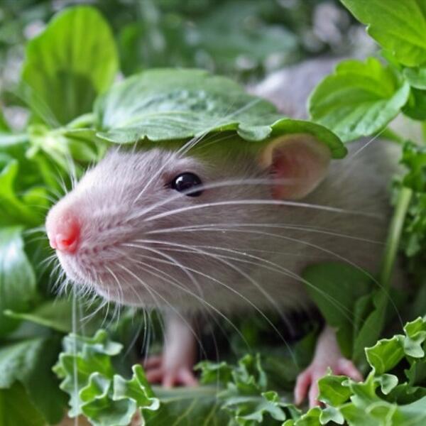 trafficwax's tweet image. What we achieve inwardly will change outer reality. -Plutarch #consciousbox #consciousrevolution #beconscious #pu...