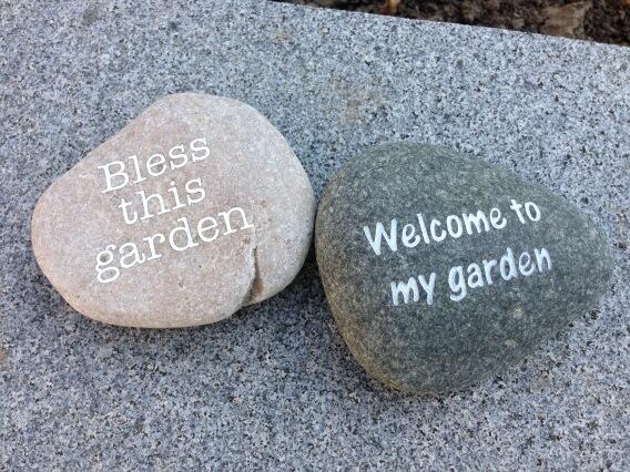 steenadvies's tweet photo. Welcome to my garden http://t.co/2q0diG0939