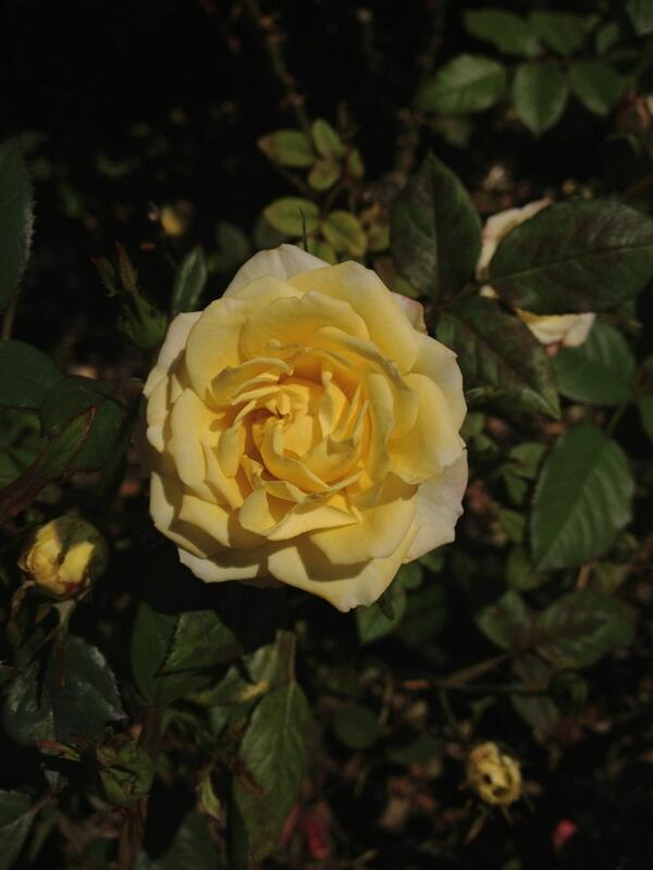 #yourmom is the only woman in the world who carried you in her womb for months, love her with all of your heart