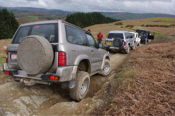 Llanerchindda Farm tweet media