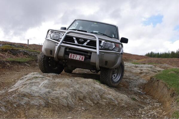 Llanerchindda Farm tweet media