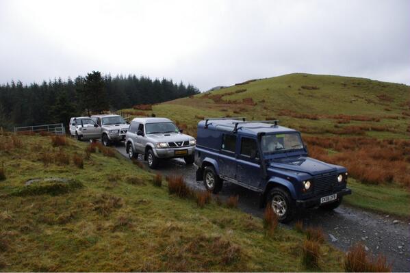 Llanerchindda Farm tweet media