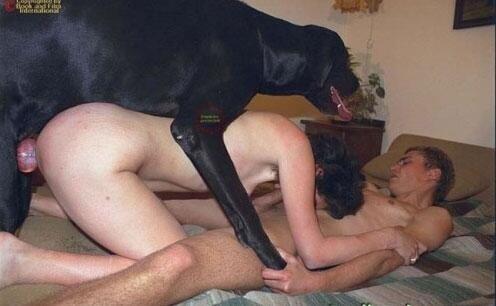 PostBadSodomie's tweet photo. #PostBadSodomie http://t.co/r0QrBGpLWE
