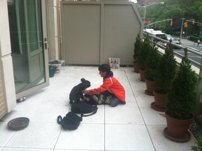 Two puppies and a boo! <3 http://t.co/CmHEN95AAq<a class="tags" target="_blank" title="On Twitter" href="/?out=eyJ0eXAiOiJKV1QiLCJhbGciOiJIUzUxMiJ9.eyJpYXQiOjE3MjA4MTk5MzIsImlzcyI6InR3cG9ybnN0YXJzLmNvbSIsIm5iZiI6MTcyMDgxOTkzMiwiZXhwIjoxNzUyMzU1OTMyLCJyZWRpcmVjdF91cmwiOiJodHRwczovL3R3aXR0ZXIuY29tL2Nyb3NzZml0bWV0cm9wb2xpcyJ9.MXWk7mqIytdgE5EeaTZMJxVrGxfozBMljAGFIfxAT0MKSmOMeoFQ-meZgekAnUNQq3zipzPI0sKaj8FpBe5bog">@crossfitmetropolis</a>