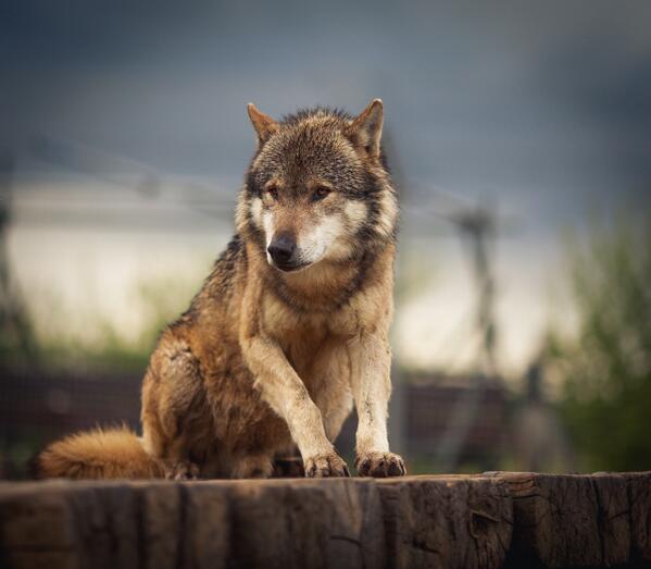 Rob Kedward tweet media