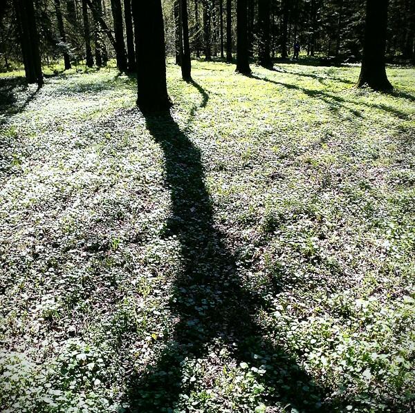 _petrov_ tweet picture
