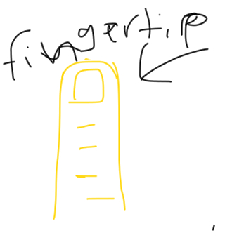 Fingertip