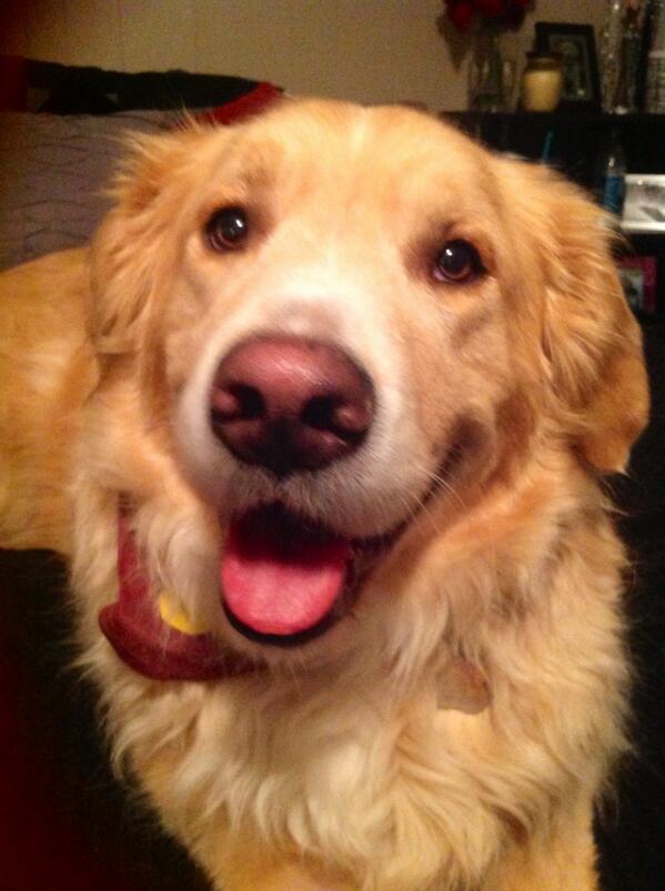 DukeandChief's tweet photo. Saturday night selfie!! Party time!! #birthdayfun

-Duke http://t.co/3akLradzXg