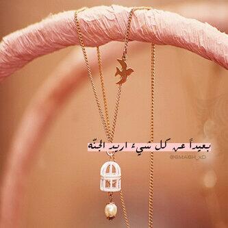 رابط دائم للصورة المُضمّنة