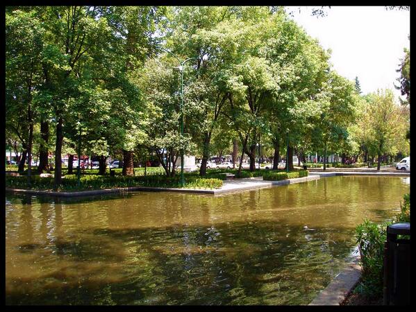 PolanquitoDF's tweet photo. Proximamente #Polanquito en Polanco.Tv http://t.co/izfArfXp3W