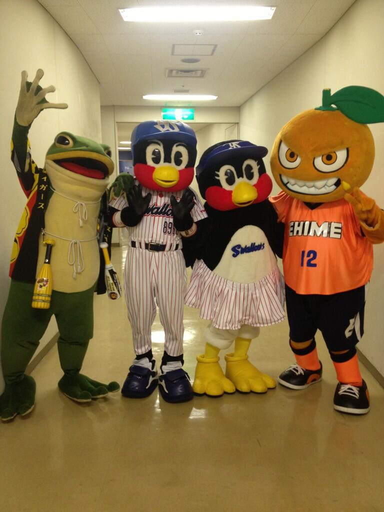 一平くん 愛媛fc非公認サポ あ 金太も乙 ﾉオイラもオーレと坊スタだったぜ 最後は仲良く記念撮影 わかるかなー 真ん中右がツバミ 試合に負けたつば九郎先生はゲッソリ痩せてしまいました 8 少し可哀想だったな Kinta 69 Http T