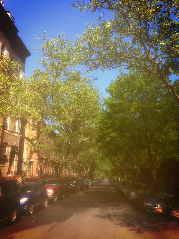 Amyhyphen's tweet image. @Jennietcouch @danielcouch A lovely morning in Brooklyn checking out the in law suite #outerboroughs #noconnectivity