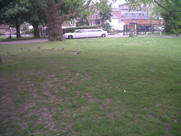 benandfenn's tweet photo. TB&amp;FS Limo has just pulled up outside @EalingStudios @blastonline http://t.co/xXfJROnzGp