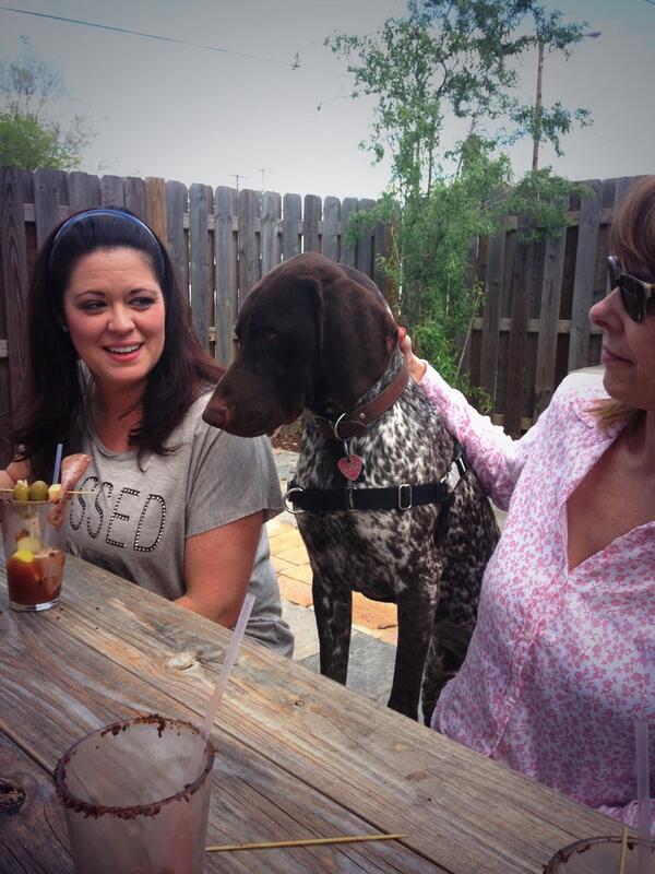 chocolatehead69's tweet photo. Chilling @arcadiumlex just drinking a few brews #puppydrunk http://t.co/qpgPG83fPM