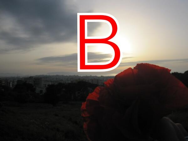 TerryVia's tweet image. Forza trapani!