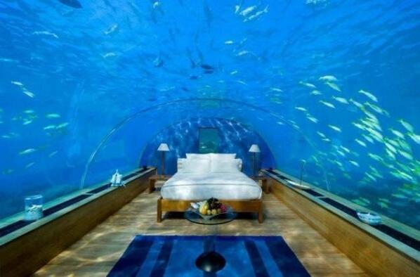 HousePorn_'s tweet photo. Underwater Hotel Room in Dubai http://t.co/TOjKjkaPOo