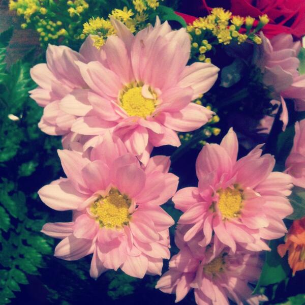 staticpixels's tweet image. We're spending time with our moms today. Happy #mothersday to all the awesome moms out there!!