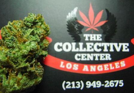 SouthernCalColl's tweet image. NEW TOP SHELF SATIVA IN!! We got that #OG strain #JackHerer!!! THis is some fire!