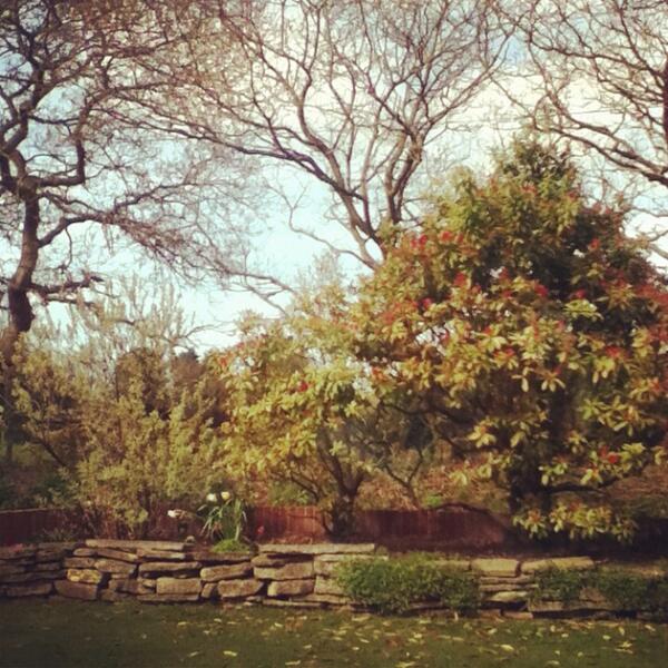 dizzyizzy2001's tweet image. That amazing picture was taken by me#epic