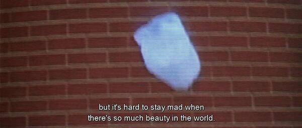mrfilmo's tweet photo. American Beauty (1999) http://t.co/8eCeroGiqI